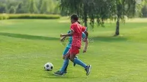 [视频]新西兰副总理兼外长与中方领导人会晤