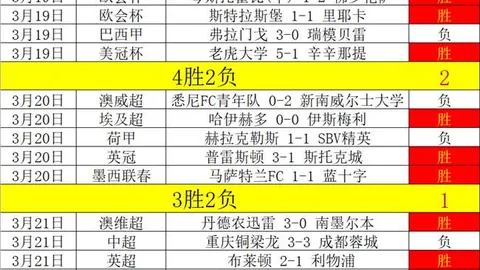 尼斯球星托迪博加盟西漢姆：體檢通過啟程離隊